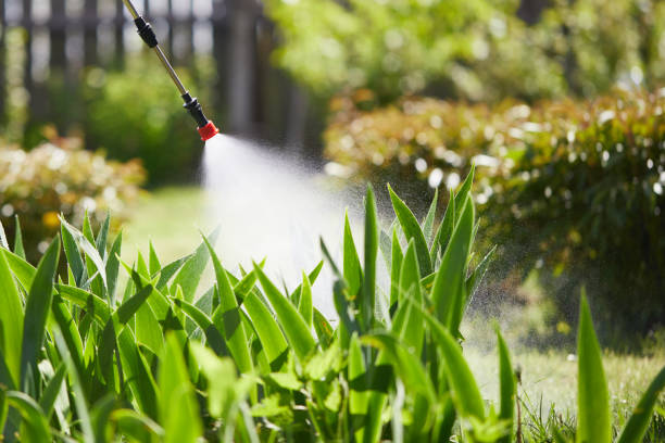 24/7 Emergency Cockroach Control experts in Forest Glen, MD