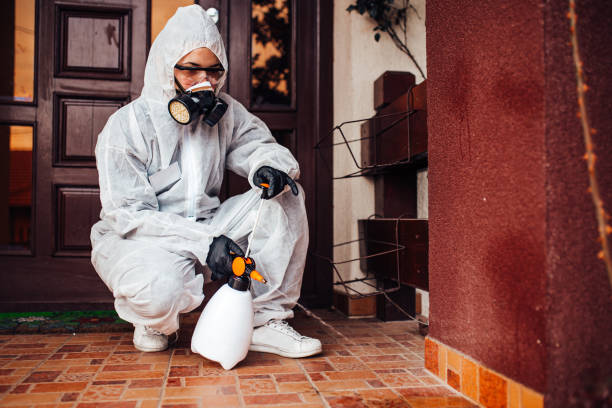Reliable Cockroach Control contractor in Forest Glen, MD by Nex Pest Control